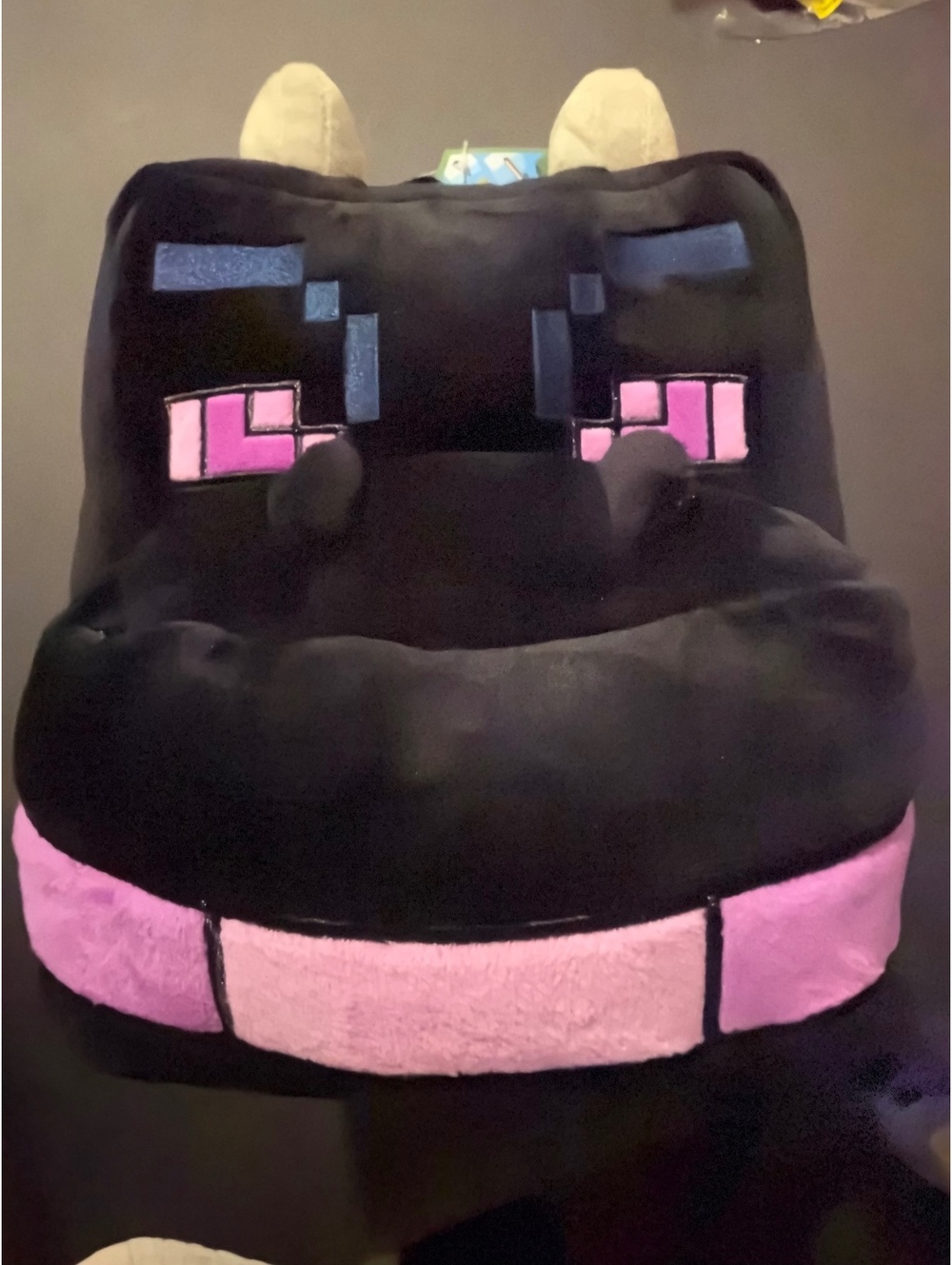 Minecraft backpack